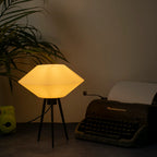 Vinyl Lamp