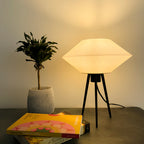 Vinyl Lamp