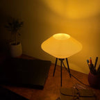 Vinyl Lamp