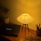 Vinyl Lamp