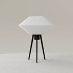 Vinyl Lamp